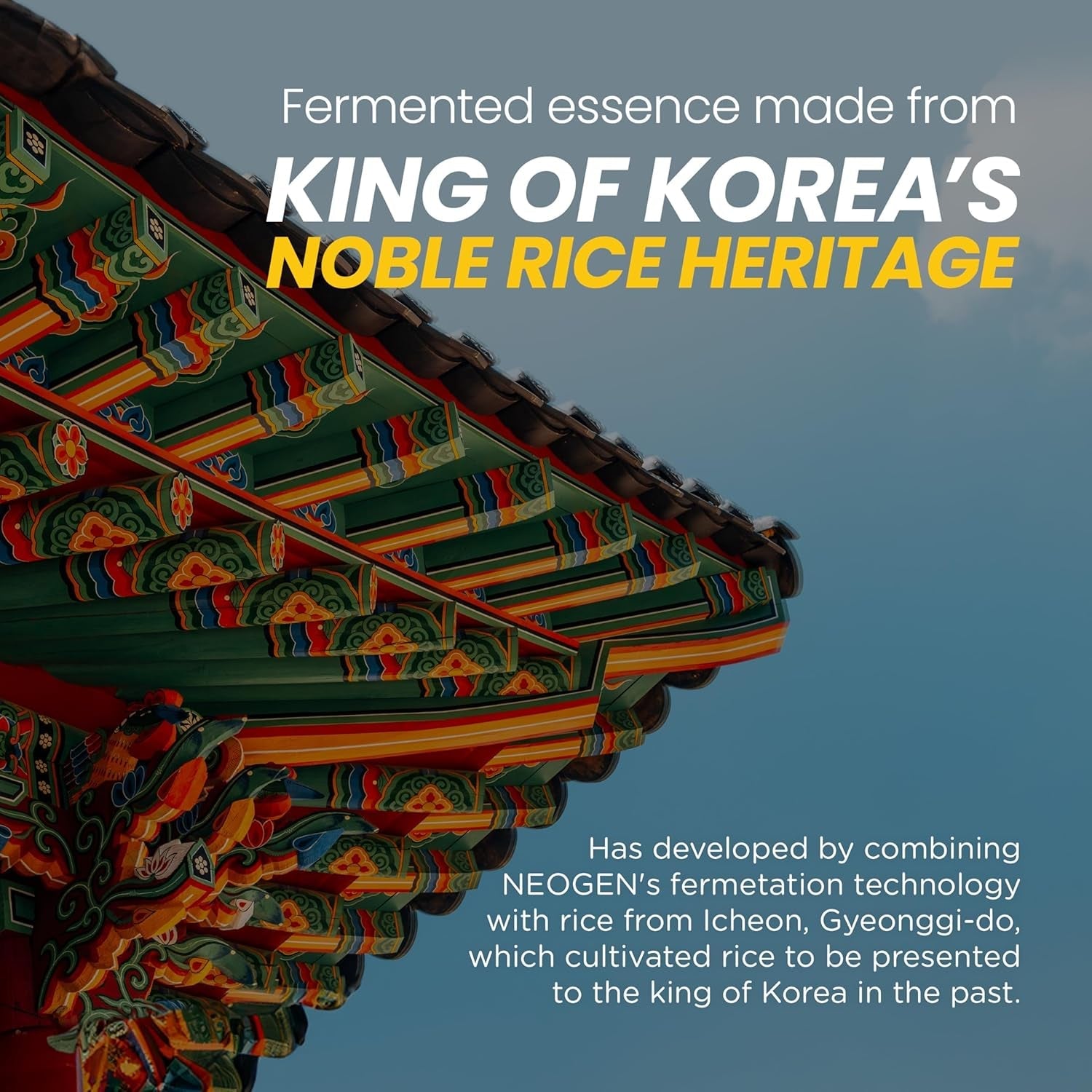 Heavenly Gadget  Micro Essence Neogen Dermalogy Real Ferment Micro Essence